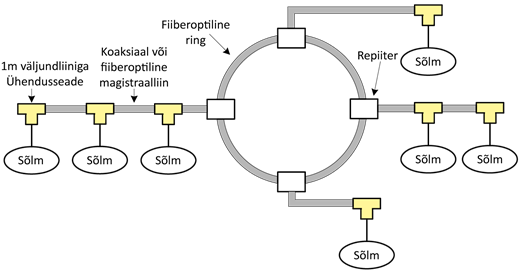 Kirjeldus: fig7