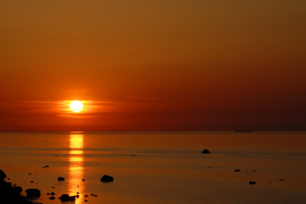 dsc_0630.jpg