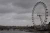 dsc_0157_small.jpg