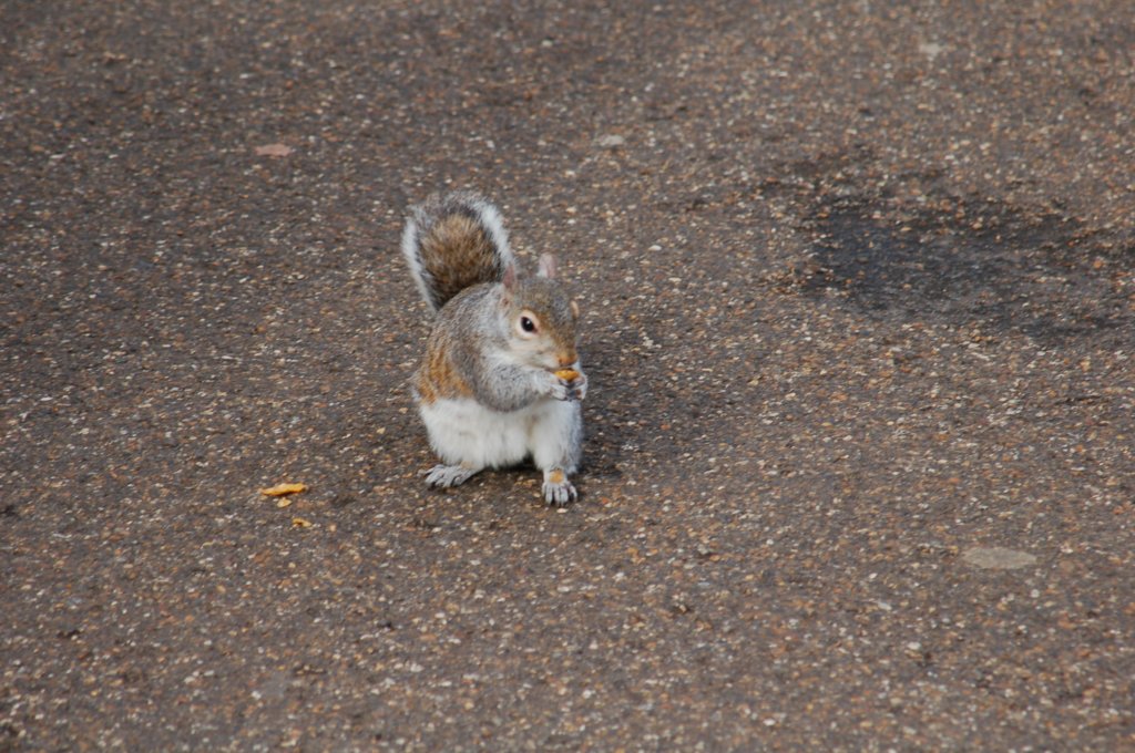 dsc_0188.jpg