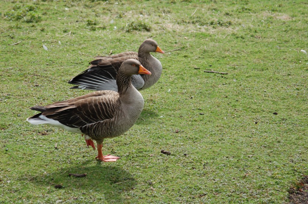 dsc_0190.jpg
