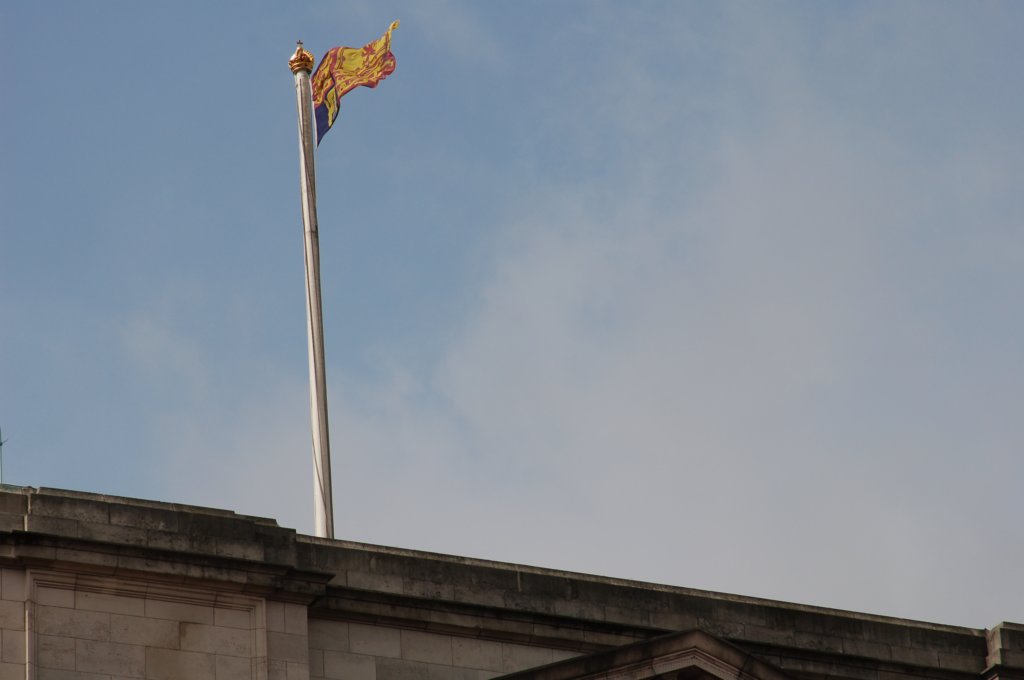 dsc_0202.jpg
