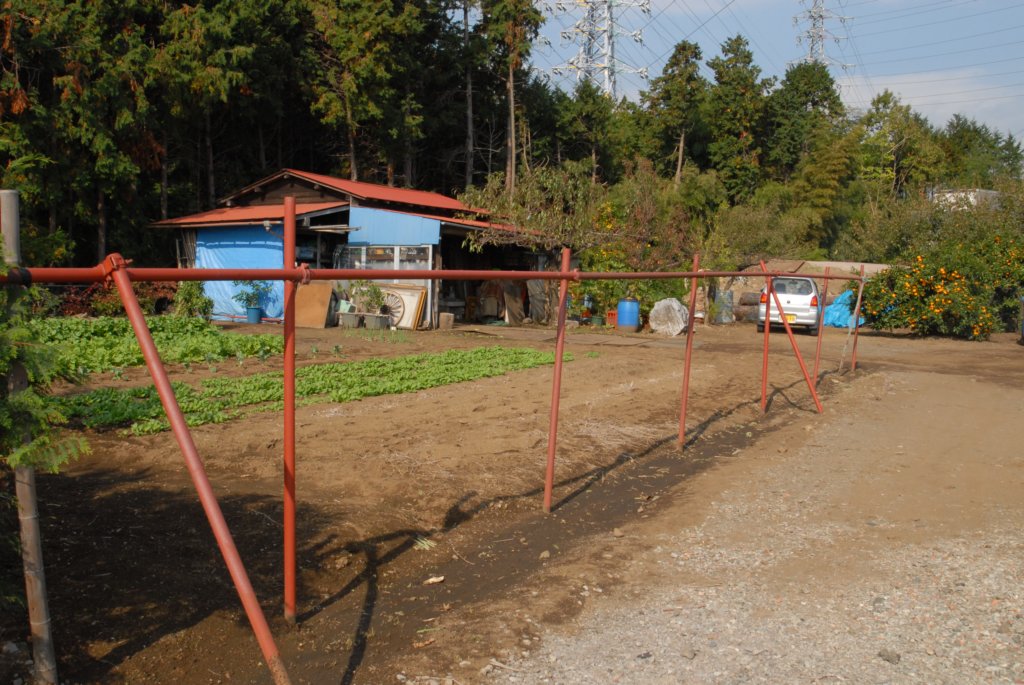 jaapan_iii_0285.jpg