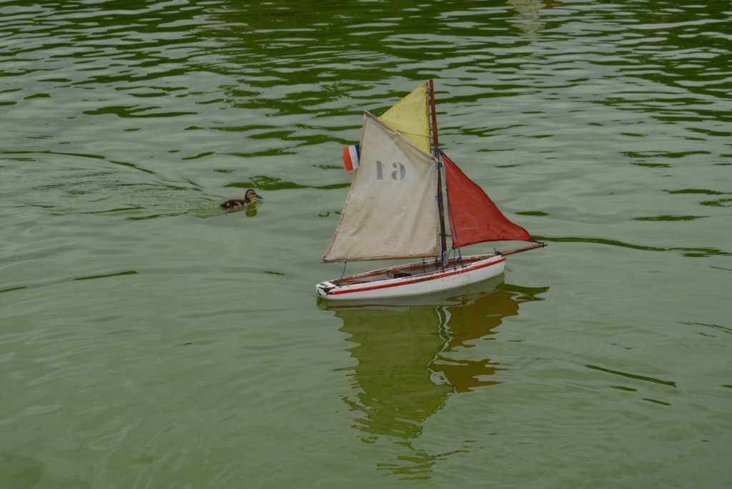 dsc_0033.jpg