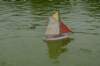 dsc_0033_small.jpg